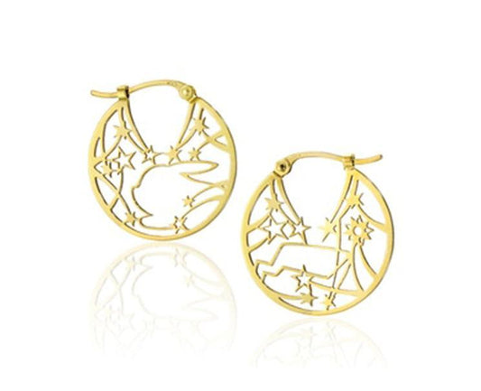 Pokemon X Star Jewelry Earrings