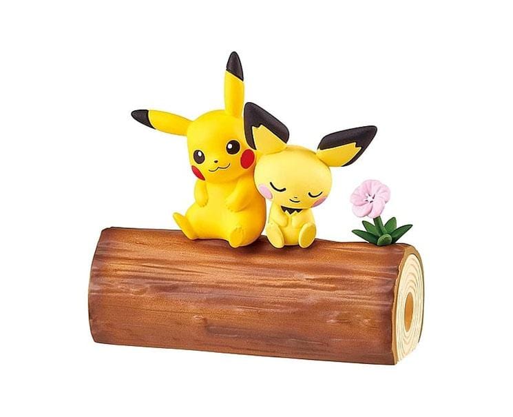 Pokemon Nakayoshi Friend Blind Box