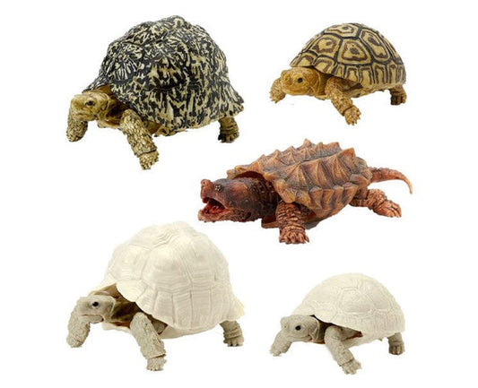 Turtle Gachapon