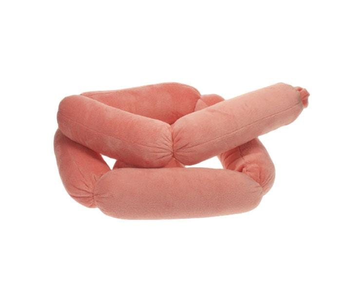 Super Long Sausage Plush: Pink