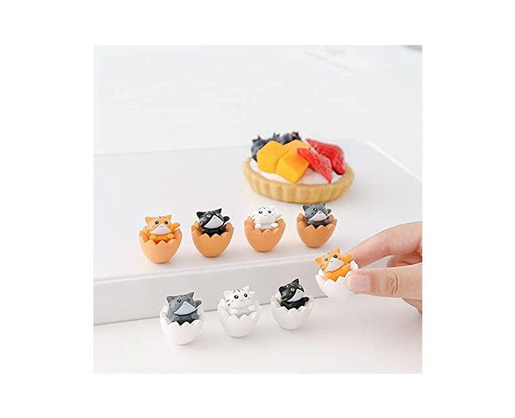 Cats Eggshell Figurine Set of 4