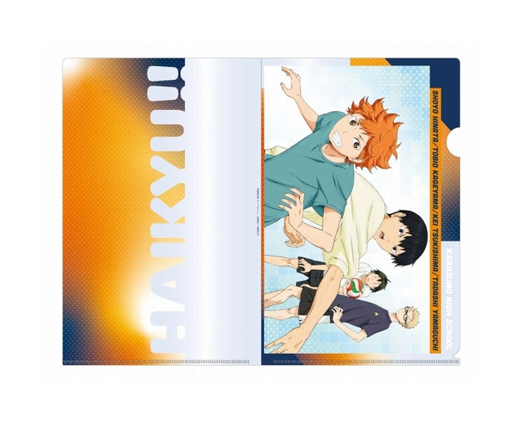 Haikyu!! Clear File Karasuno Highschool