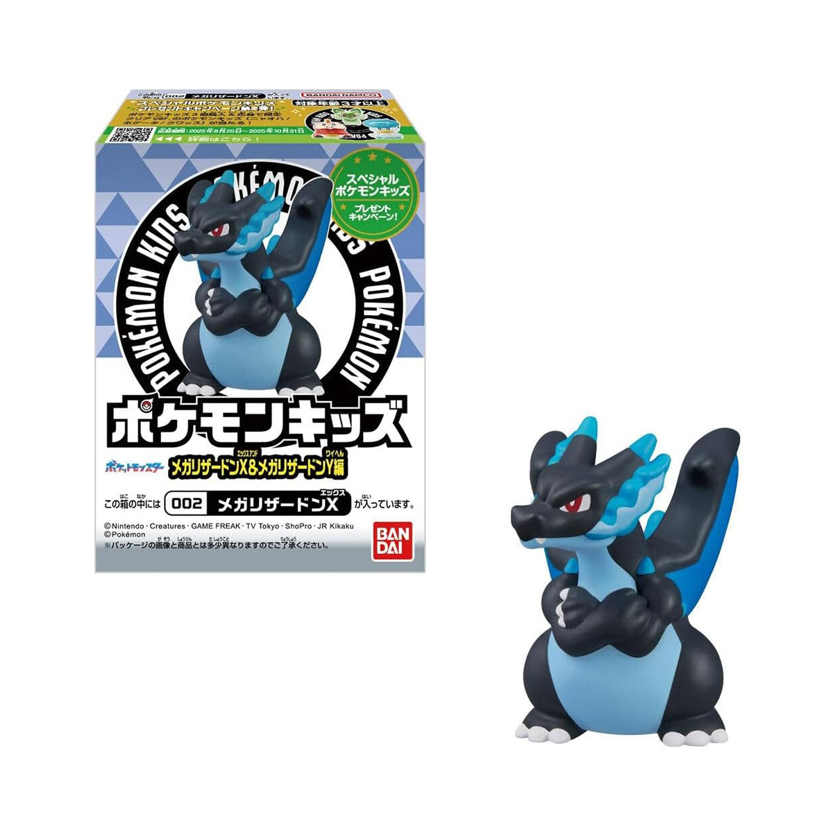 Pokemon Kids! Mega Charizard X & Mega Charizard Y Edition